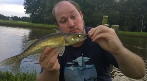 Der Akiri Worm fängt Zander