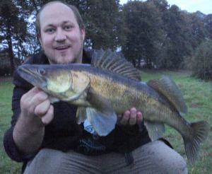 71cm Zander
