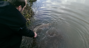 Catch &amp; Release wird sowohl in Holland aber auch bei Lieblingsköder gern gesehen