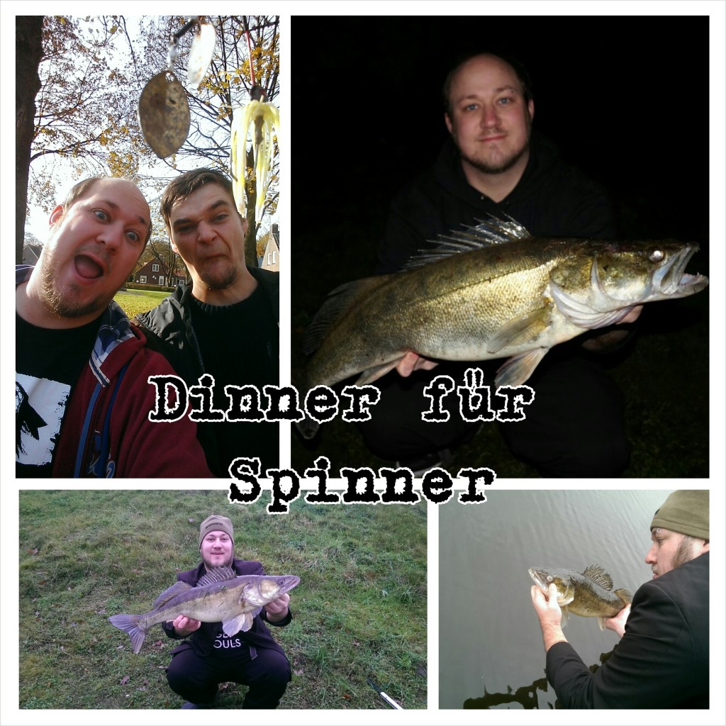 DinnerFürSpinner