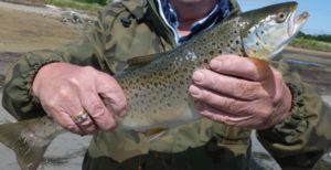 Hans-Joachim mit seiner Meerforelle