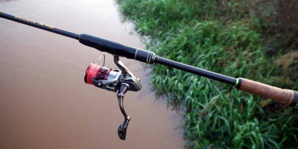 Bullseye Jig Whip mit der Shimano Stradic 3000