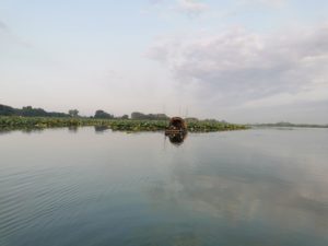 Ententeichstimmung auf dem Wasser