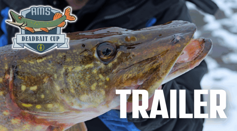 AMS Deadbait Cup - Trailer
