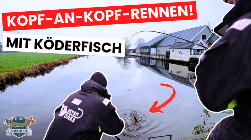 AMS Deadbait Cup Staffel 2 - Folge 1