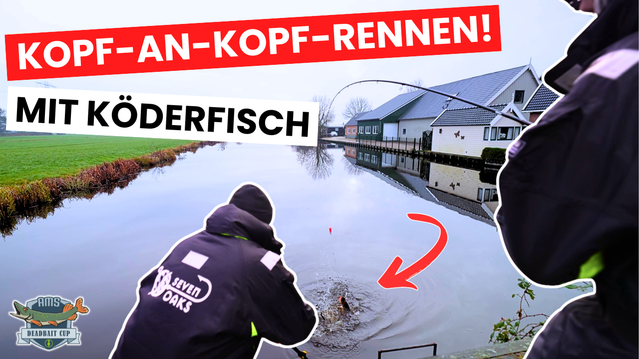 AMS Deadbait Cup Staffel 2 - Folge 1